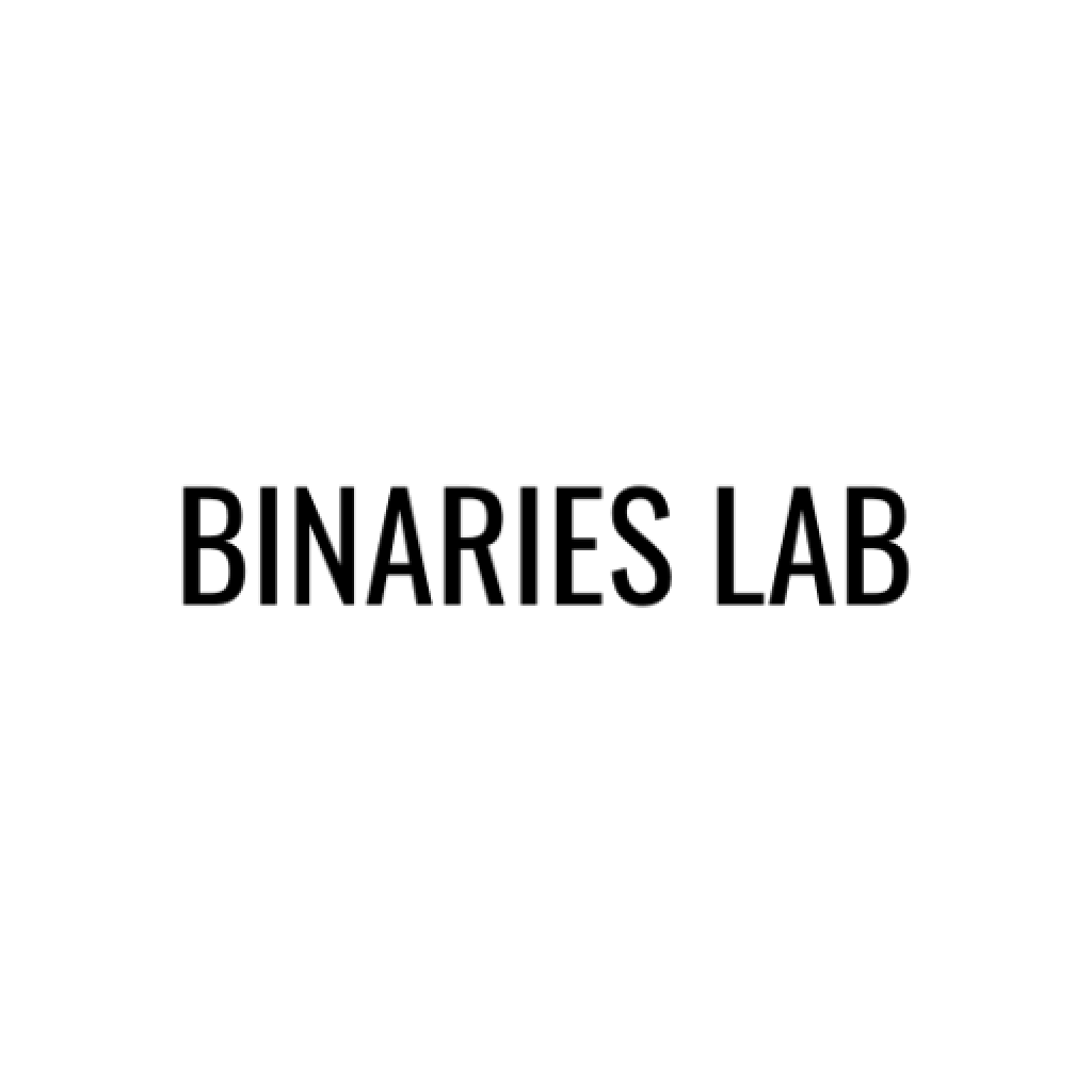 Binaries Lab